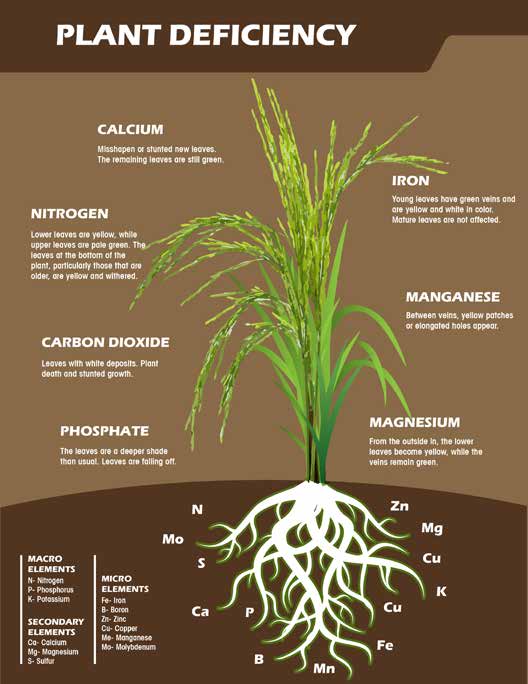 You are currently viewing BIOFERTI Phân bón hữu cơ vi sinh BIOFERTI – HOẠCH ĐỊNH CỦA THIÊN NHIÊN