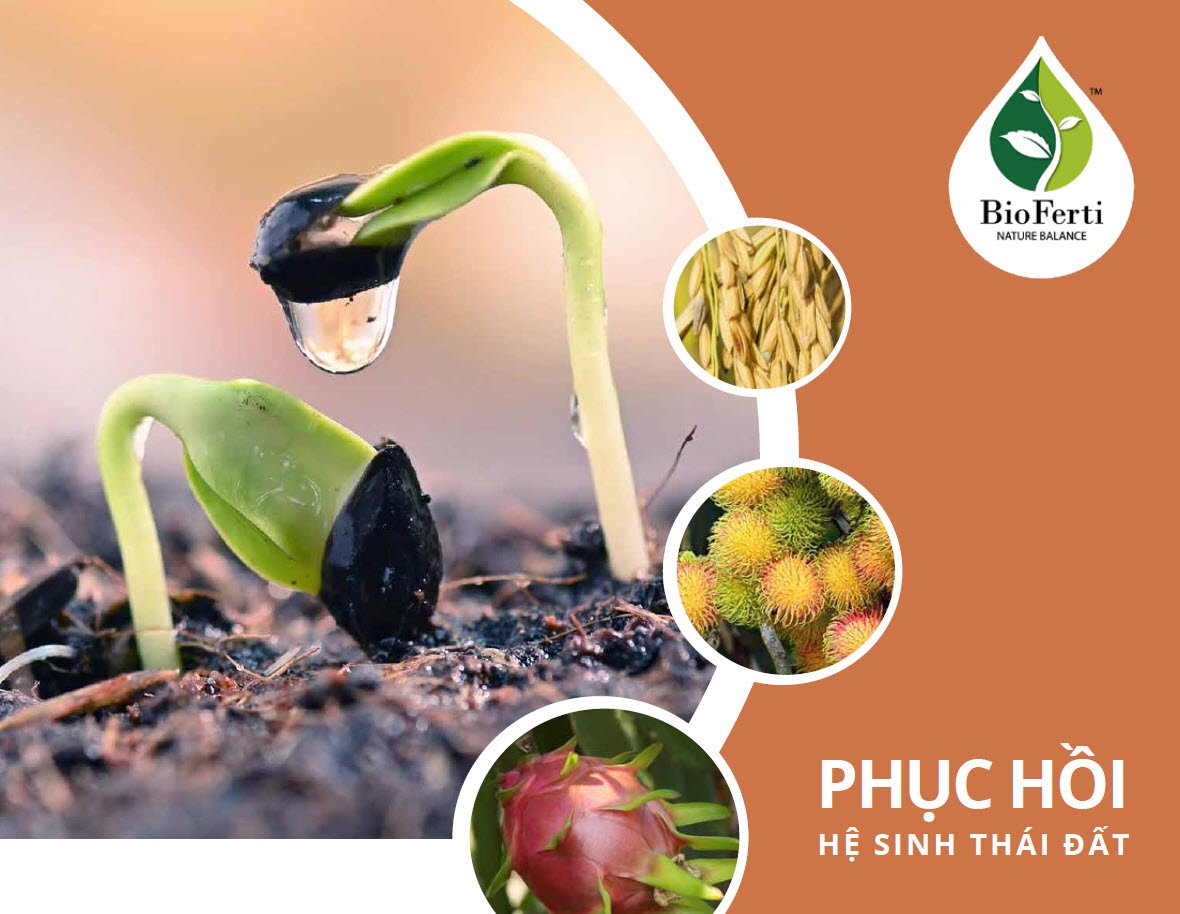Bioferti Phuc Hoi He Sinh Thai Dat
