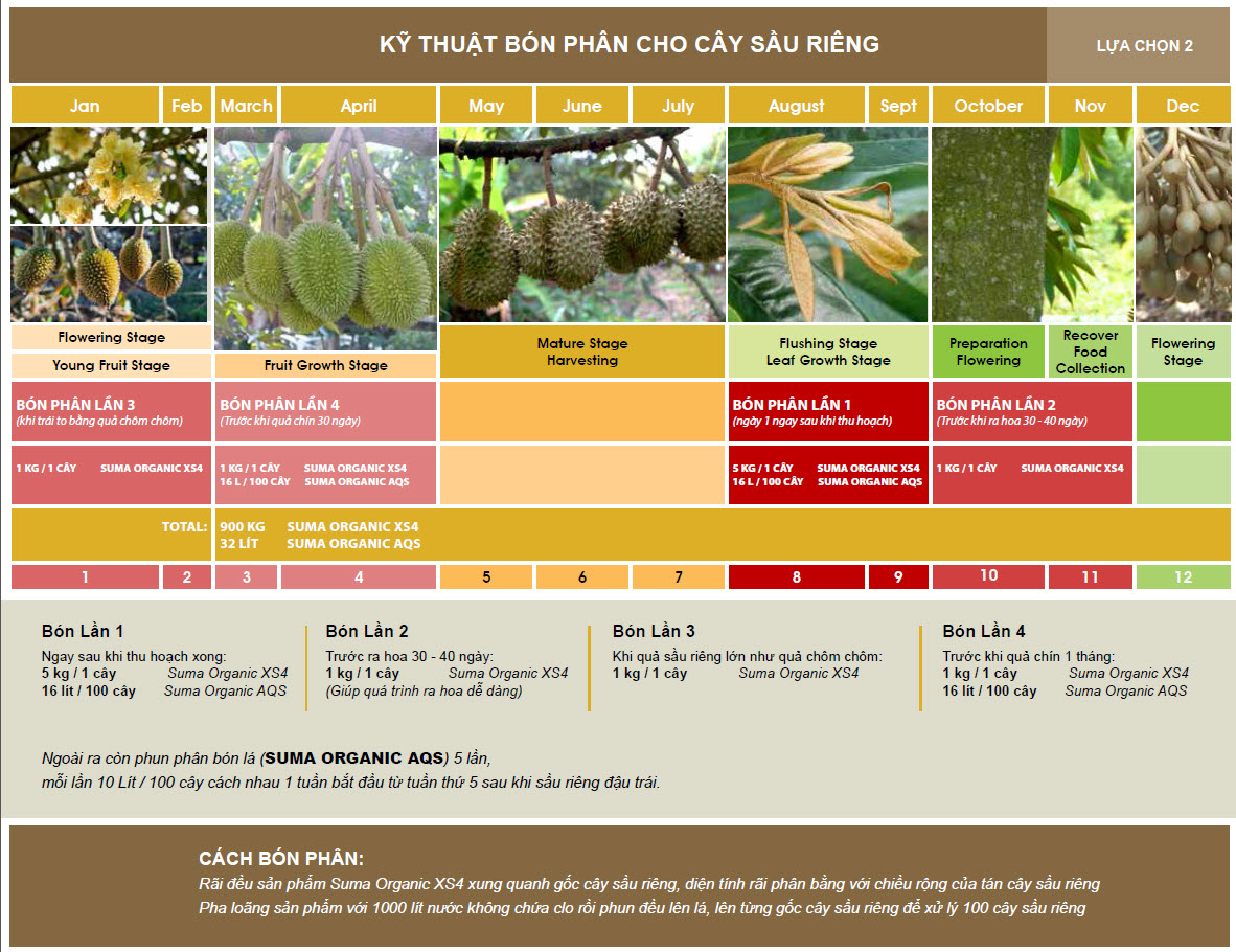 Bioferti ky thuat bon cho cay sau rieng 2