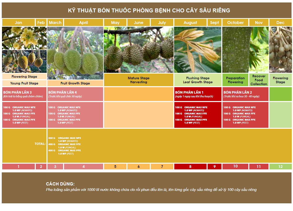 Bioferti ky thuat bon cho cay sau rieng 3