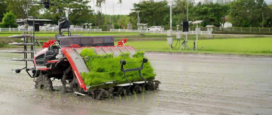 Nông Nghiệp Bền Vững Bioferti Trồng Lúa Tại Đồng Bằng Sông Cửu Long 3