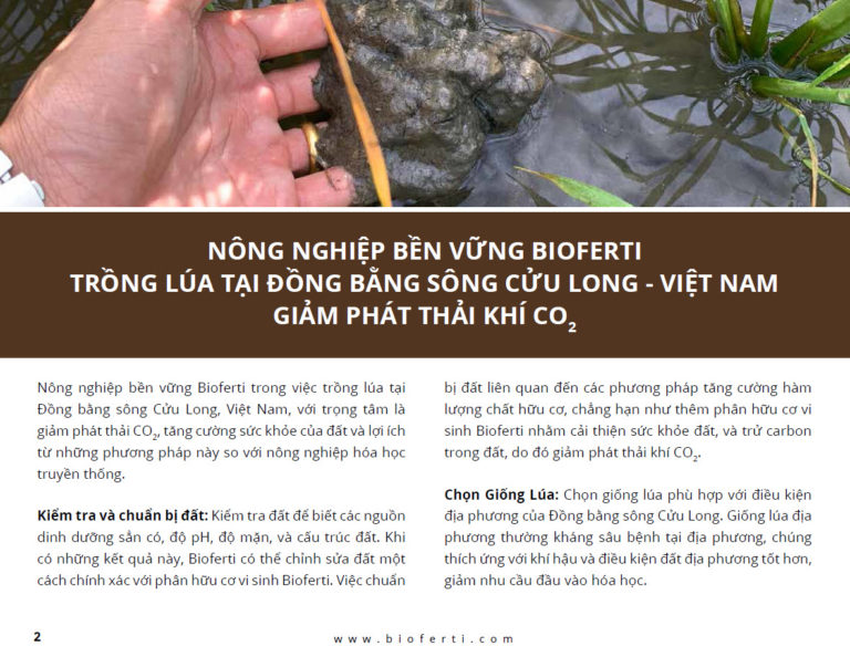 Read more about the article Nông Nghiệp Bền Vững Bioferti Trồng Lúa Tại Đồng Bằng Sông Cửu Long